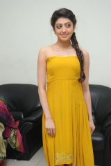 Pranitha at Alludu Seenu Audio Launch